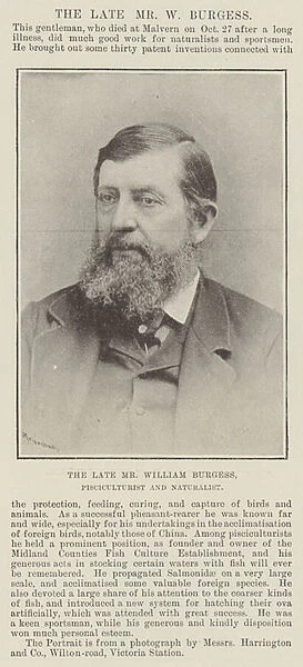 The late Mr William Burgess, Pisciculturist and Naturalist (b  /  w photo)