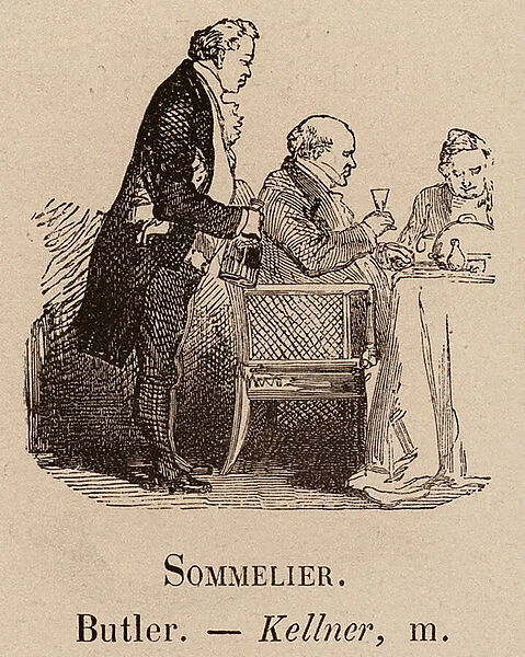 Le Vocabulaire Illustre: Sommelier; Butler; Kellner (engraving)