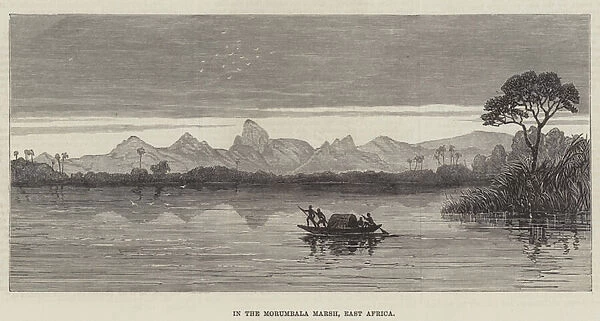 In the Morumbala Marsh, East Africa (engraving)
