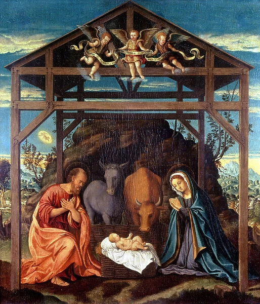 Nativity. AGN48061 Nativity by Pacchia, Girolamo del 