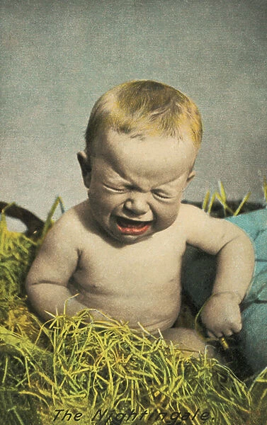 The nightingale: baby crying (coloured photo)