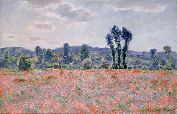 Poppy Field, c. 1890 (oil on canvas)