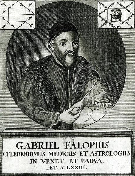 Portrait of Gabriel Fallopius (1523-62) (engraving) (b  /  w photo)