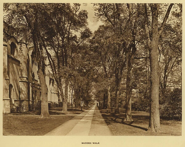 Princeton University: McCosh Walk (b  /  w photo)