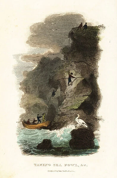 Rock-fowlers hunting for skua gull birds and eggs on the Faroe Islands, 18th century