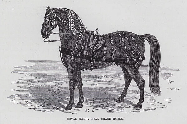 Royal Hanoverian Coach-Horse (engraving)