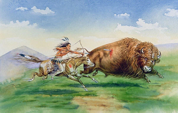 Sioux hunting buffalo on decorated pony (oil on canvas)