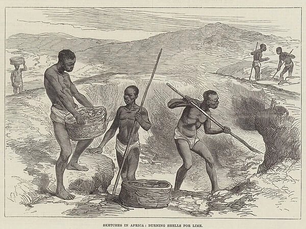 Sketches in Africa, burning Shells for Lime (engraving)
