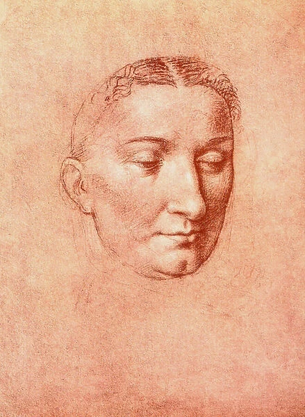 Study for the head of a saint, drawing by Leonardo da Vinci. Gallerie dell Accademia, Venice