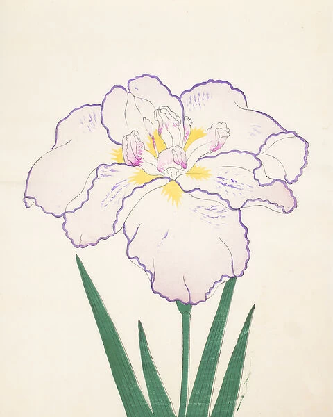 Tanporo, No. 51, 1890 (colour woodblock print)