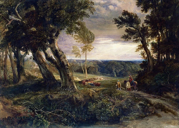 Tilgate Forest From Near Bolney, Sussex, 1843 (oil on canvas)