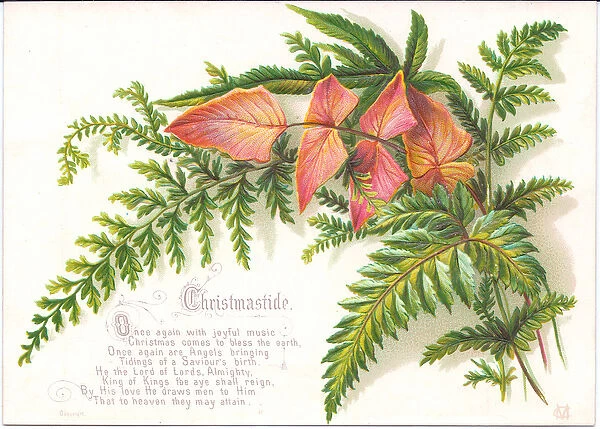A Victorian Christmas card of with a spray of ferns, c. 1880 (colour litho)