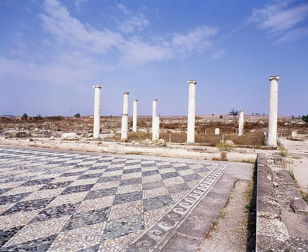 View of the ruins of the Atrium with pebble mosaic, 4th century BC