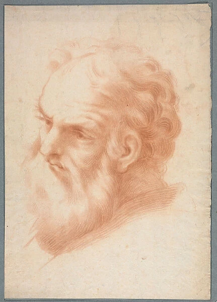 Head Old Man 1700s Italy 18th century Red chalk