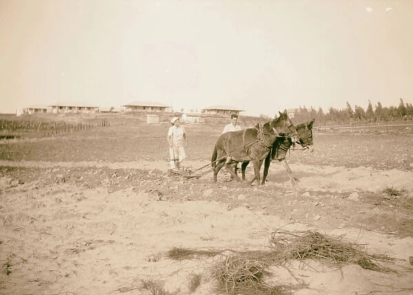Plowing Dorot Miss Herrunam plow 1946 Israel