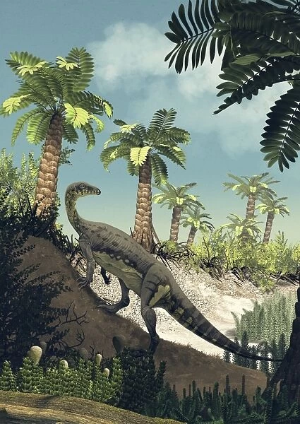 An Anchisaurus polyzelus climbs the slope of a dry riverbed