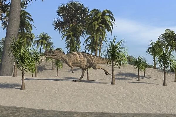 Ceratosaurus running across a tropical landscape