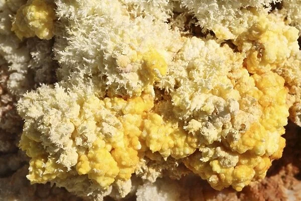 Close-up of yellow salt crystals in the Dallol geothermal area, Danakil Depression