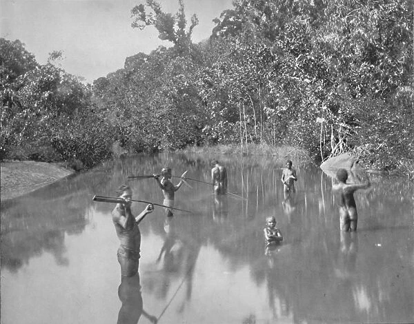 Australian Aborigines Spearing Fish, 19th century