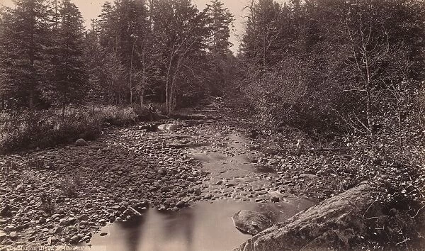 Marion River at Bassetts Camp, c. 1885. Creator: Seneca Ray Stoddard