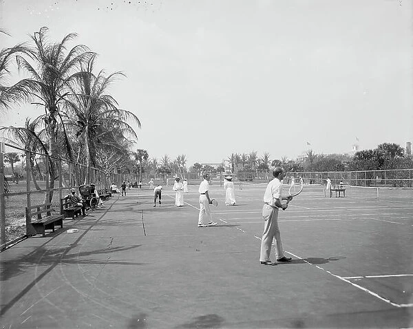 Tennis courts, Palm Beach, Fla. between 1900 and 1906. Creator: Unknown
