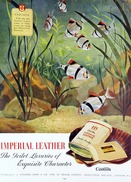 Advertisement for Imperial Leather Soap, 20th century