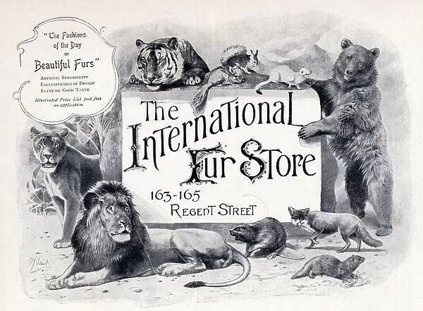 Advertisement For The International Fur Store From The Connoisseur A Magazine For Collectors Printed November 1902