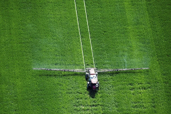 Aerial View Of Spray Application In An Early Growth Wheat Field On The Eastern Shore Of Maryland; Wye Mills, Maryland, United States Of America