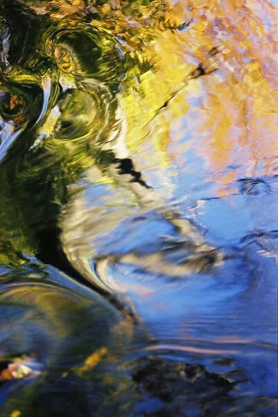 Africa, Massachusetts, Seekonk, Caratunk Wildlife Refuge, Colorful Reflections On Water