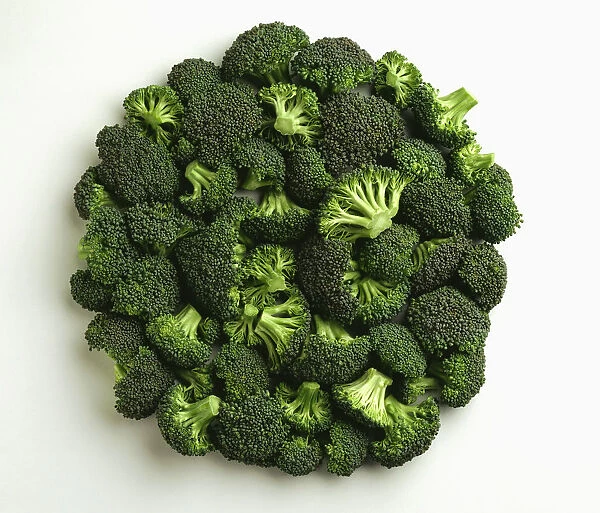 Agriculture - Broccoli Florets, Large, On White