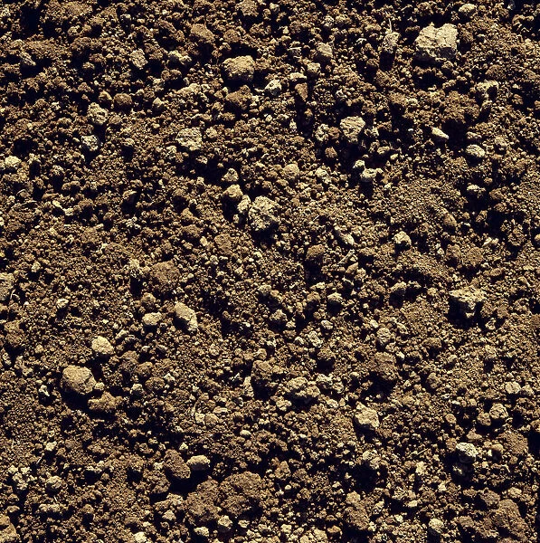 Agriculture - Closeup of clay soil  /  Monterey County, California, USA