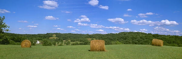 Agriculture - Dried round grass hay bales in the field with a barn in the distance  /  Holmes County, Ohio, USA