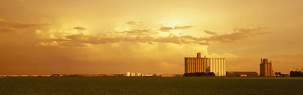 Agriculture - Grain elevators and an early growth corn field in late afternoon light  /  Johnson City, Kansas, USA
