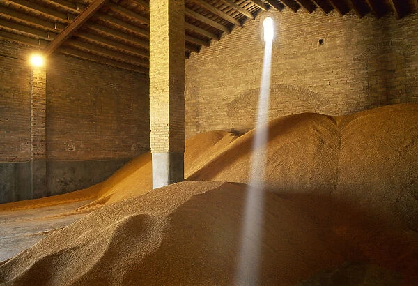 Agriculture - Harvested rice in a storehouse waiting to be transported, a typical Spanish variety for cooking 'paella' /  Castell