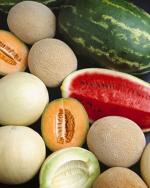 Agriculture - Mixed Melons, Watermelon, Cantaloupe And Honeydew