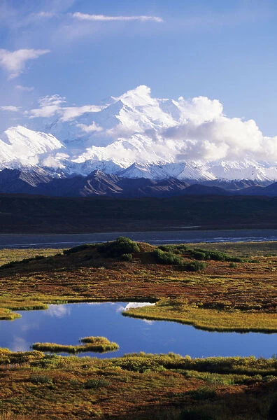 Alaska, Denali National Park, Denali, Tundra Pond, Mountains In Background
