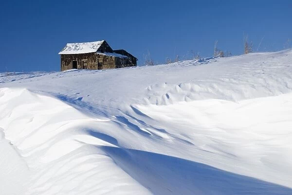 Alberta, Canada; Abandoned Farm Building Atop A Snowy Hill
