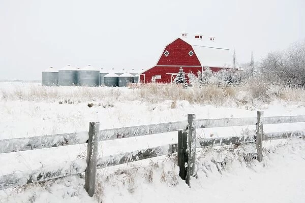 Alberta, Canada; Farm Yard With A Red Barn And Metal Grain Bins In Winter