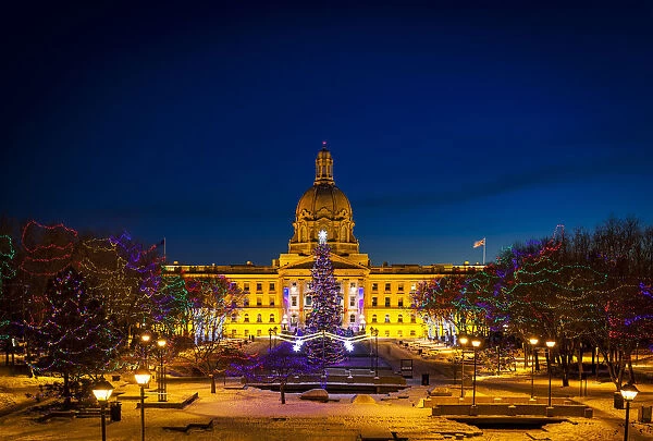 Alberta Legislature Building Illuminated And A Christmas Tree With Colourful Lights On The Trees For Decoration At Christmas Time; Edmonton, Alberta, Canada