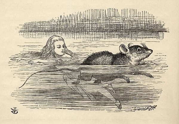 Alice Swimming With A Mouse In The Pool Of Tears Illustration By John Tenniel From The Book Alicess Adventures In Wonderland By Lewis Carroll Published 1891