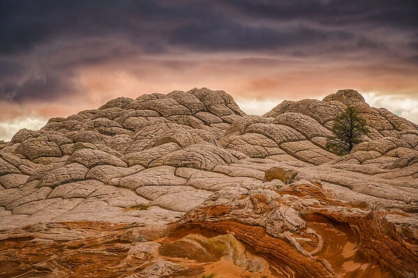 The amazing sandstone and rock formations of White Pocket, Arizona. USA