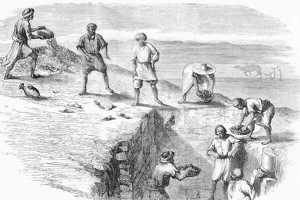 Arabs excavating the ruins of Carthage. From L'Univers Illustre, published Paris, 1859