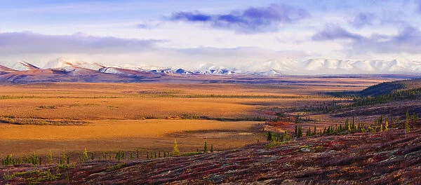Arctic Circle, Fall Colours And Richardson Mountains Along Dempster Highway, Yukon