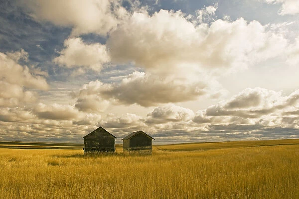 Artists Choice: Abandoned Grain Bins With Hail Damaged Wheat Stubble Near Ponteix, Saskatchewan