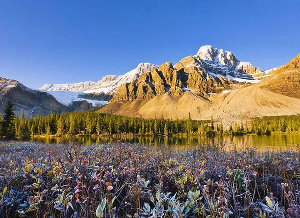 Artists Choice: Bow Lake And Crowfoot Mountain At Sunrise In Fall, Banff National Park, Alberta