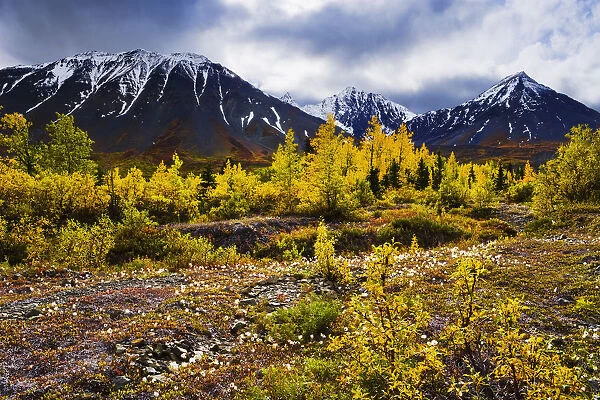 Artists Choice: Fall Colours And Auriol Range, Kluane National Park, Yukon