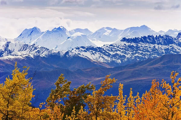 Artists Choice: Fall Colours And Mountains Of Kluane National Park, Along Alaska Highway, Yukon