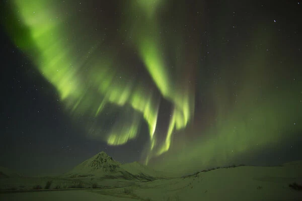 Aurora Borealis, Or Northern Lights, Along The Dempster Highway; Yukon, Canada