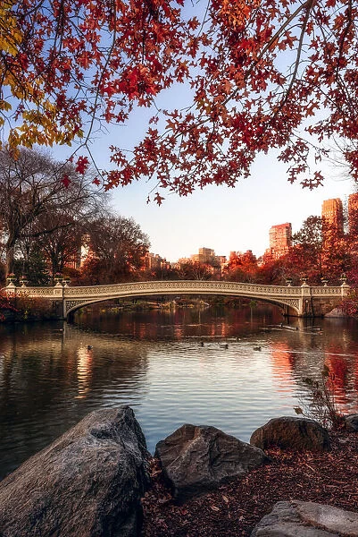Autumn coloured foliage around Bow Bridge, Central Park, New York City, New York, USA