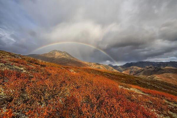 Autumn colours along Dempster Highway, Yukon, Canada